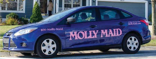 Molly Maid Coupons Valpak