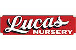 LUCAS NURSERY