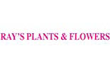 RAY's PLANTS & FLOWERS logo