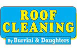 BURRINI'S ROOF CLEANING logo