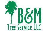 B & M TREE SERVICE LLC logo