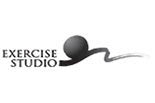 THE EXERCISE STUDIO logo
