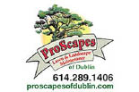 Proscapes Lawn & Landscape Maintenance logo