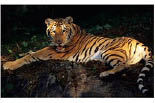 HERITAGE PARK ZOO logo