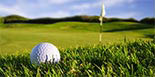 QUAILWOOD GREENS GOLF COURSE logo