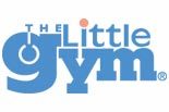 THE LITTLE GYM OF WASHINGTON TWP logo