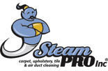 STEAM PRO CARPET CLEANING & DUCT CLEANING OF DENVER logo