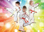 PALANZO MARTIAL ARTS logo
