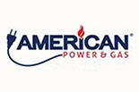 AMERICAN POWER & GAS logo