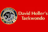 DAVID HOLLER'S TAEKWONDO logo