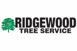 RIDGEWOOD TREE SERVICE