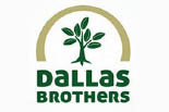 DALLAS BROTHERS LANDSCAPING logo
