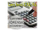 Larry Serur, C.P.A., P.A. logo