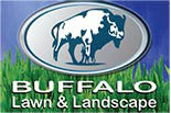BUFFALO LAWN AND LANDSCAPE logo