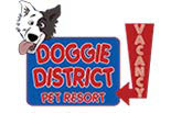 DOGGIE DISTRICT logo