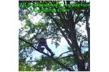 ALL PROFESSIONAL TREE SERVICE & SHRUB CARE logo