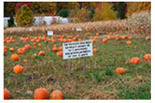 Wickham Farms logo