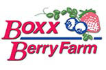BOXX BERRY FARM logo