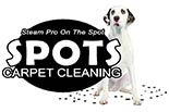 SPOTS CARPET CLEANING logo