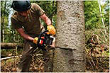 TREE SERVICE NOW INC. logo