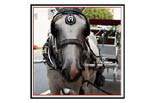 OLDE TOWNE CARRIAGE logo