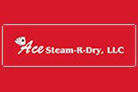 ACE STEAM -R- DRY CARPET CLEANING logo