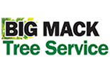 BIG MAC TREE SERVICE STATEN ISLAND logo