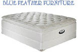 BLUE FEATHER FURNITURE STATEN ISLAND logo