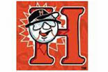 HAGERSTOWN SUNS logo