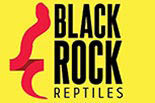 BLACK ROCK REPTILES logo
