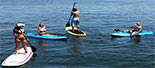 Adventures Boat Rentals logo