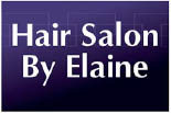 HAIR SALON BY ELAINE logo