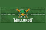 MADISON MALLARDS logo