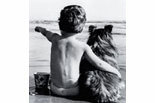THE GOLDEN DOG GROOMING, INC. logo