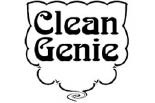 CLEAN GENIE logo