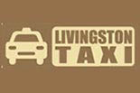 LIVINGSTON TAXI logo