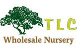 T.L.C. NURSERY