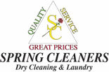 SPRING CLEANERS logo