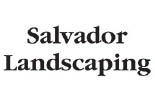 Salvador Landscaping logo