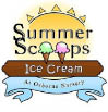 Summer Scoops Logo