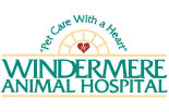 vet, animal, hospital, pet, grooming, exam