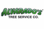 Click to Learn More about Alvarado's Tree Service