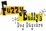 Click to Learn More about FUZZY BUDDY'S Dog Daycare