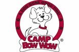 Camp Bow Wow - Allentown