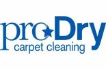 Pro Dry Carpet Cleaning