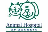 Click to Learn More about ANIMAL HOSPITAL  OF DUNEDIN