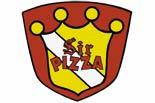 Sir Pizza