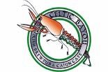 Celtic Bayou