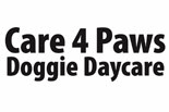 Care 4 Paws Doggie Daycare