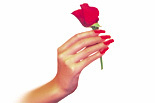 Tip Top Nails